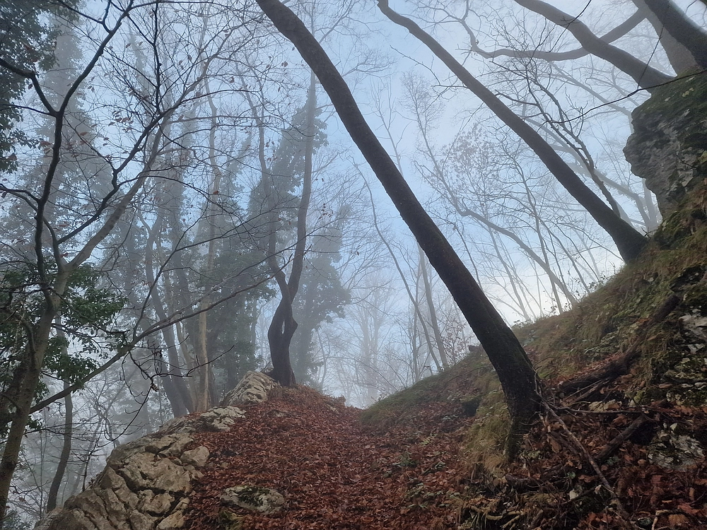 Ostrež, 7. 12. 2025