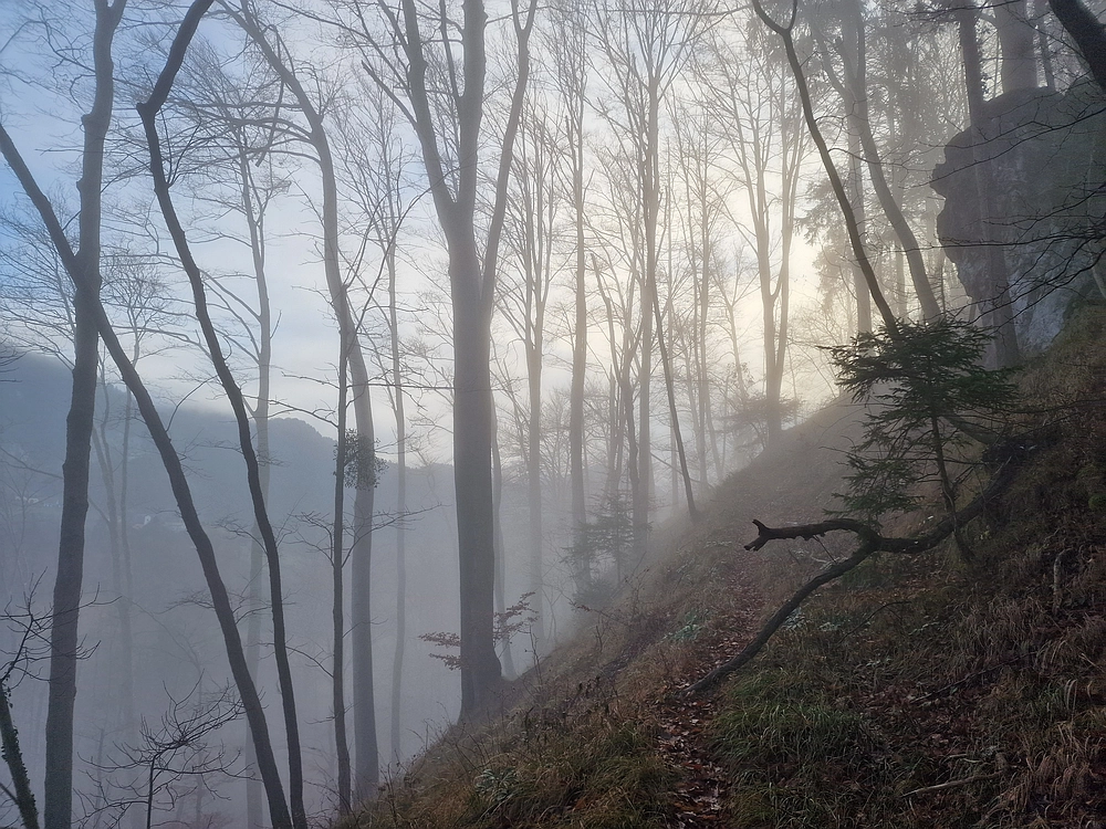 Ostrež, 7. 12. 2025