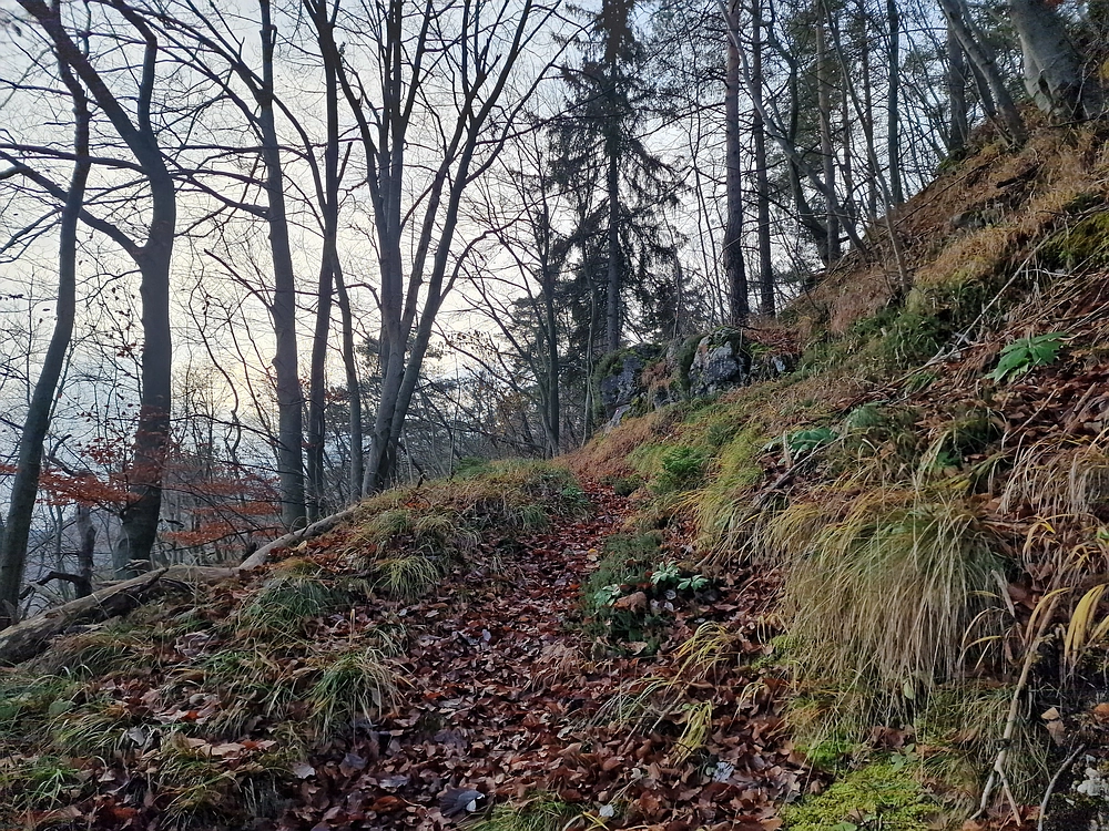 Ostrež, 7. 12. 2025