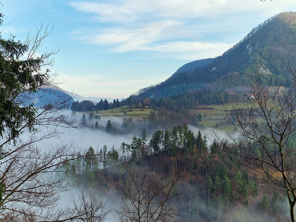 Ostrež, 7. 12. 2025
