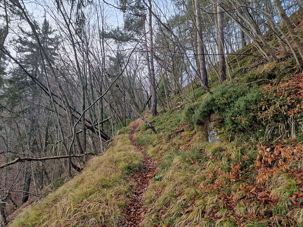 Ostrež, 7. 12. 2025