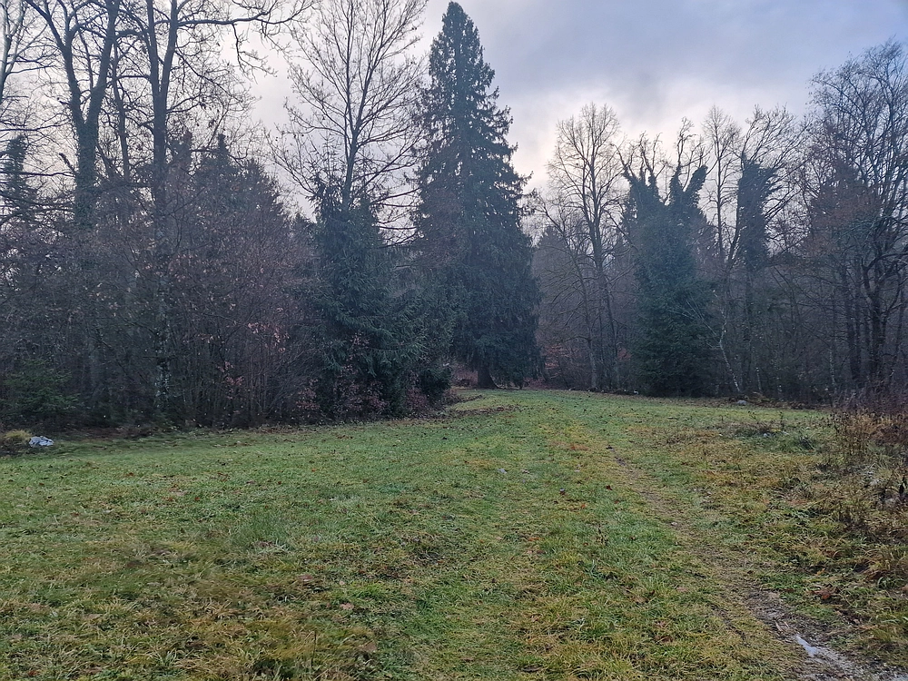 Ostrež, 7. 12. 2025