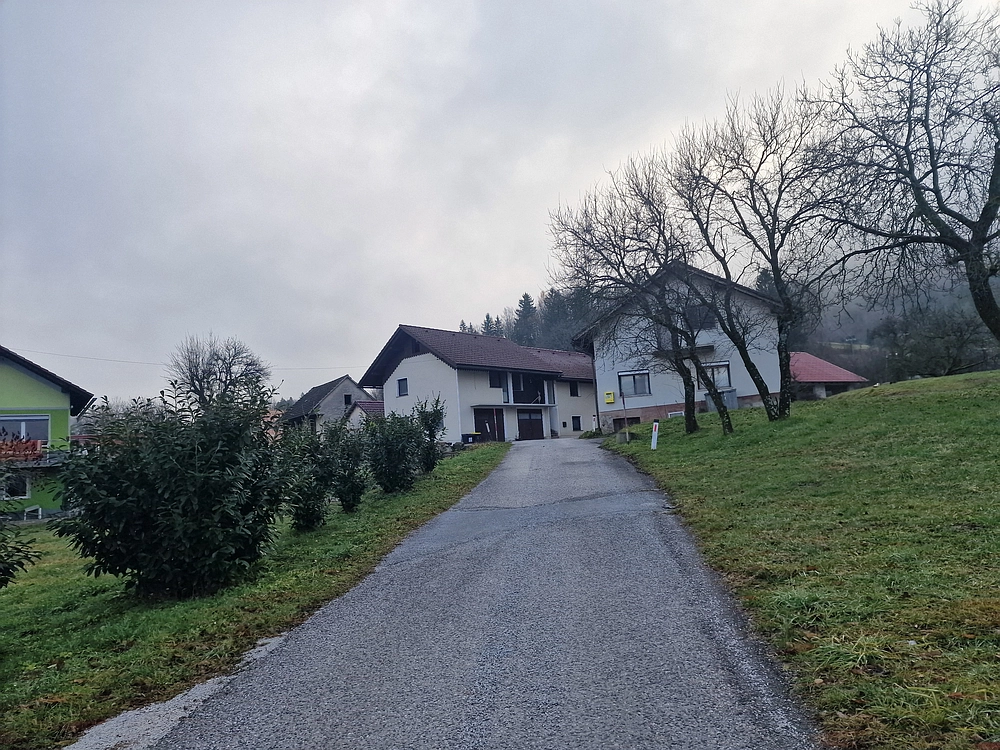 Ostrež, 7. 12. 2025