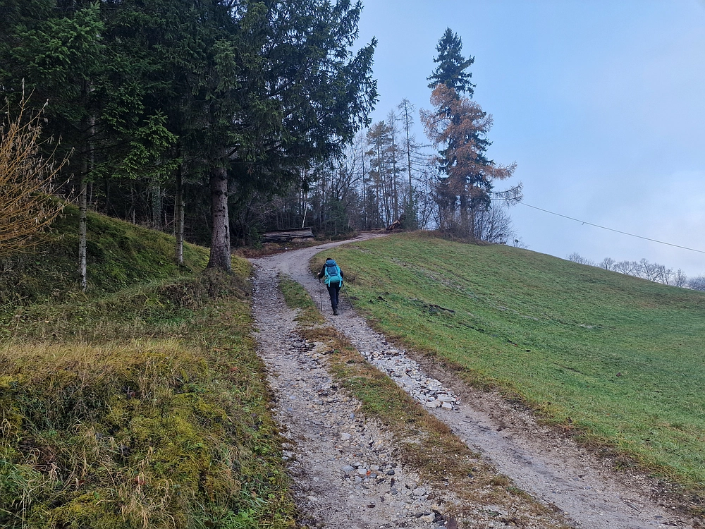 Ostrež, 7. 12. 2025