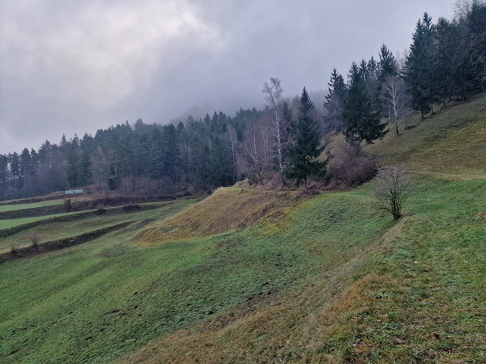 Ostrež, 7. 12. 2025