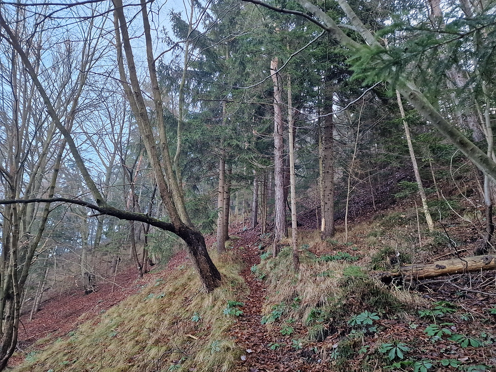 Ostrež, 7. 12. 2025