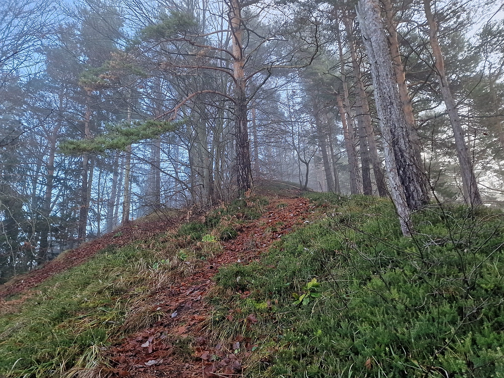 Ostrež, 7. 12. 2025