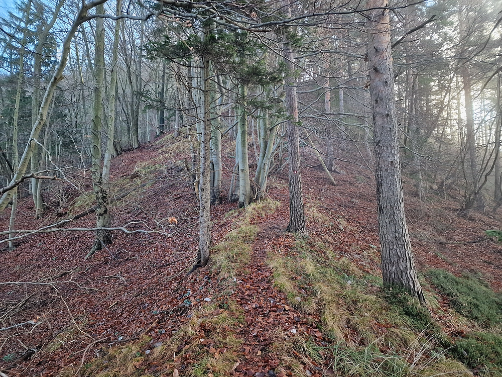 Ostrež, 7. 12. 2025