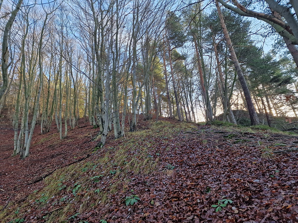 Ostrež, 7. 12. 2025