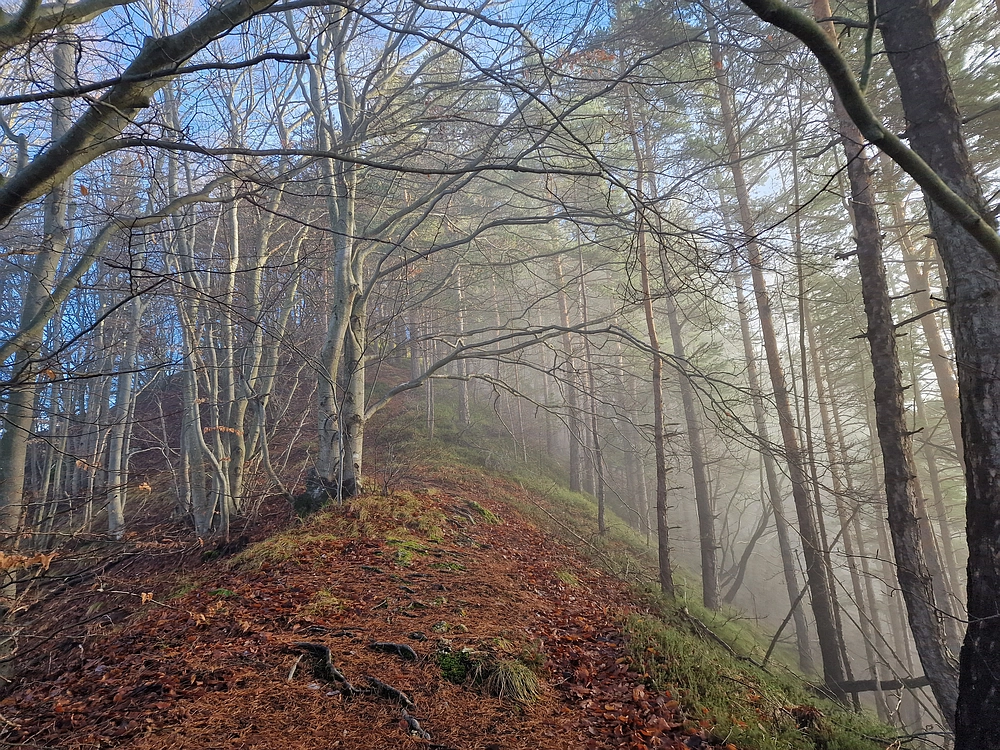 Ostrež, 7. 12. 2025