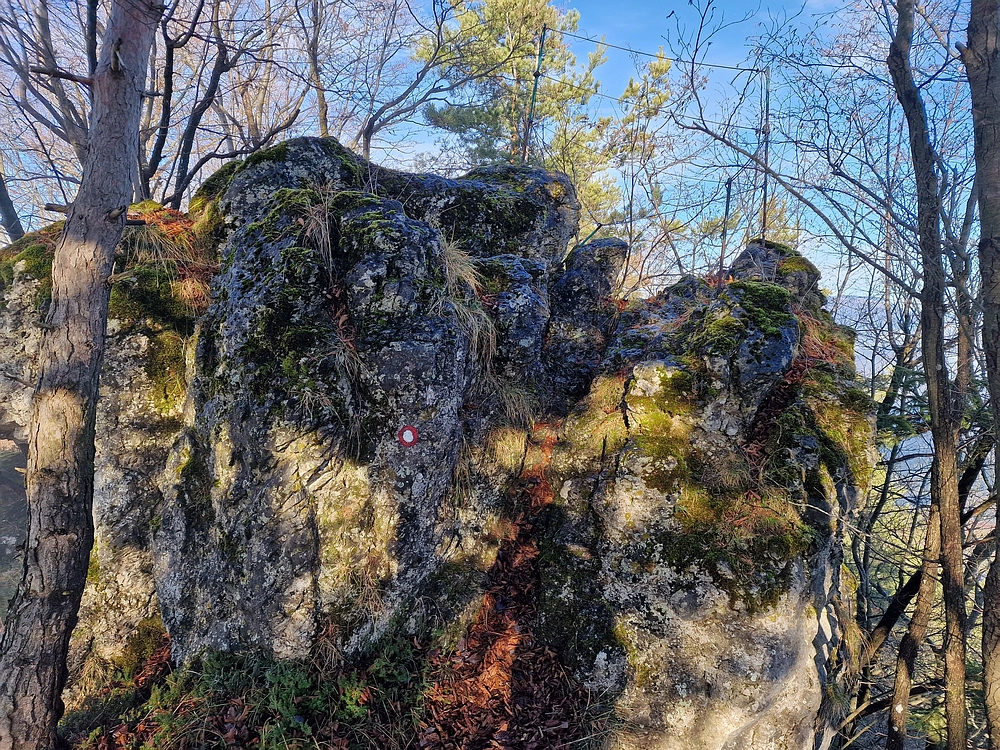 Ostrež, 7. 12. 2025