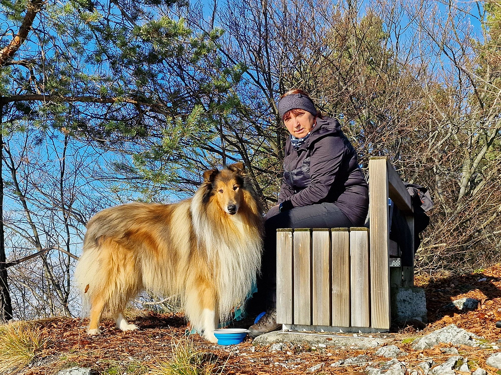 Ostrež, 7. 12. 2025