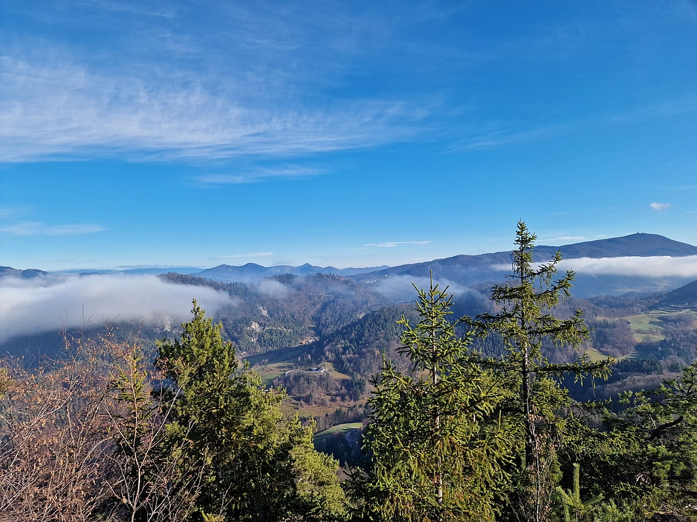 Ostrež, 7. 12. 2025