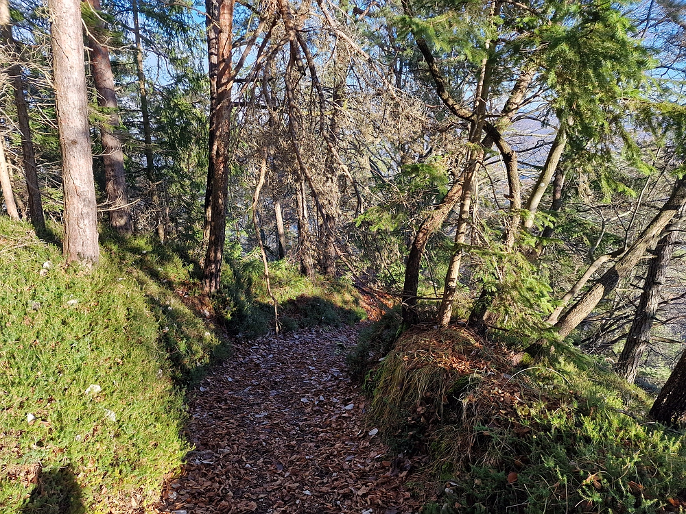 Ostrež, 7. 12. 2025