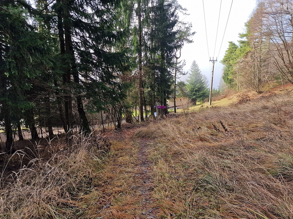 Ostrež, 7. 12. 2025