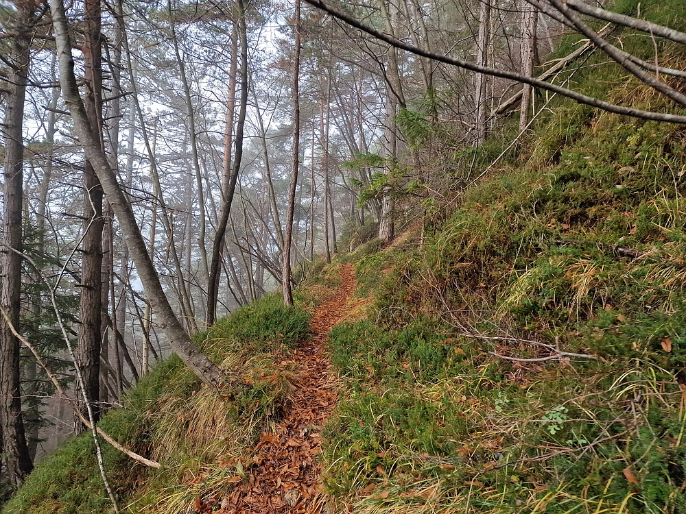 Ostrež, 7. 12. 2025