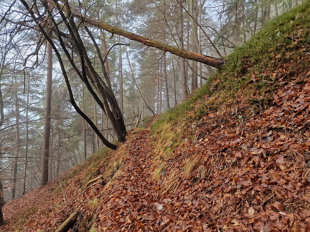 Ostrež, 7. 12. 2025