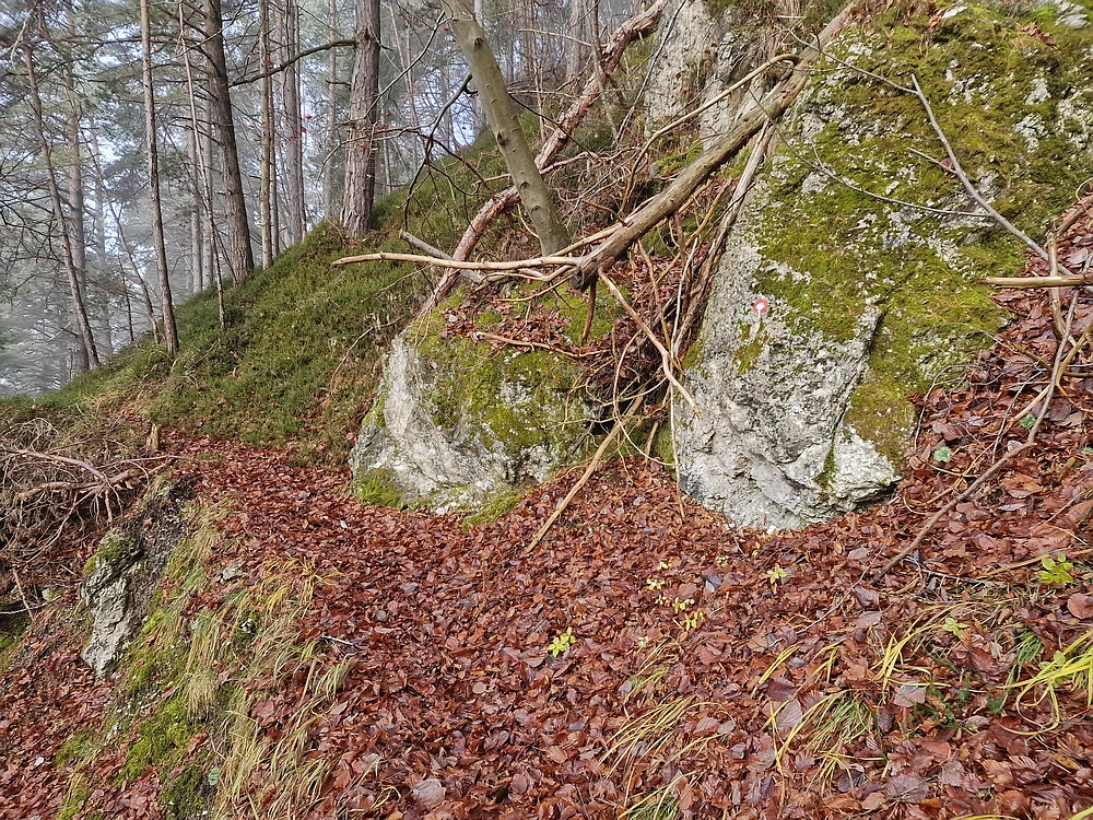 Ostrež, 7. 12. 2025