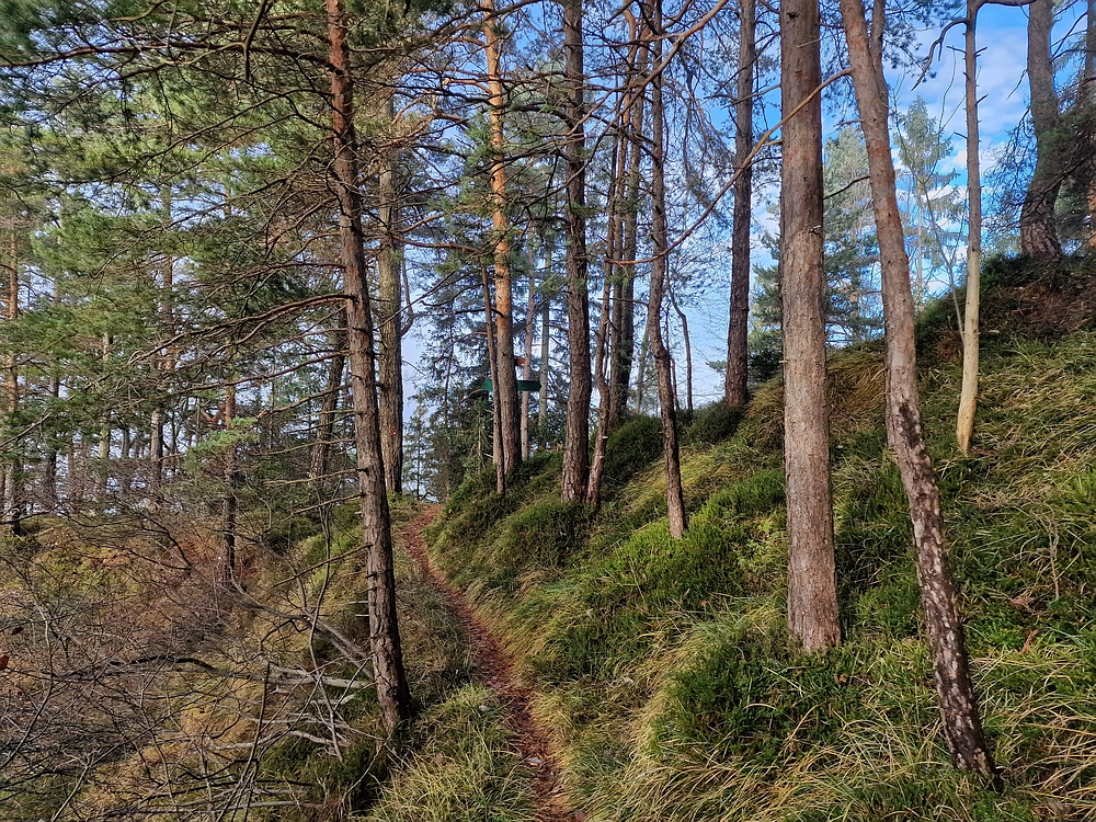 Ostrež, 7. 12. 2025