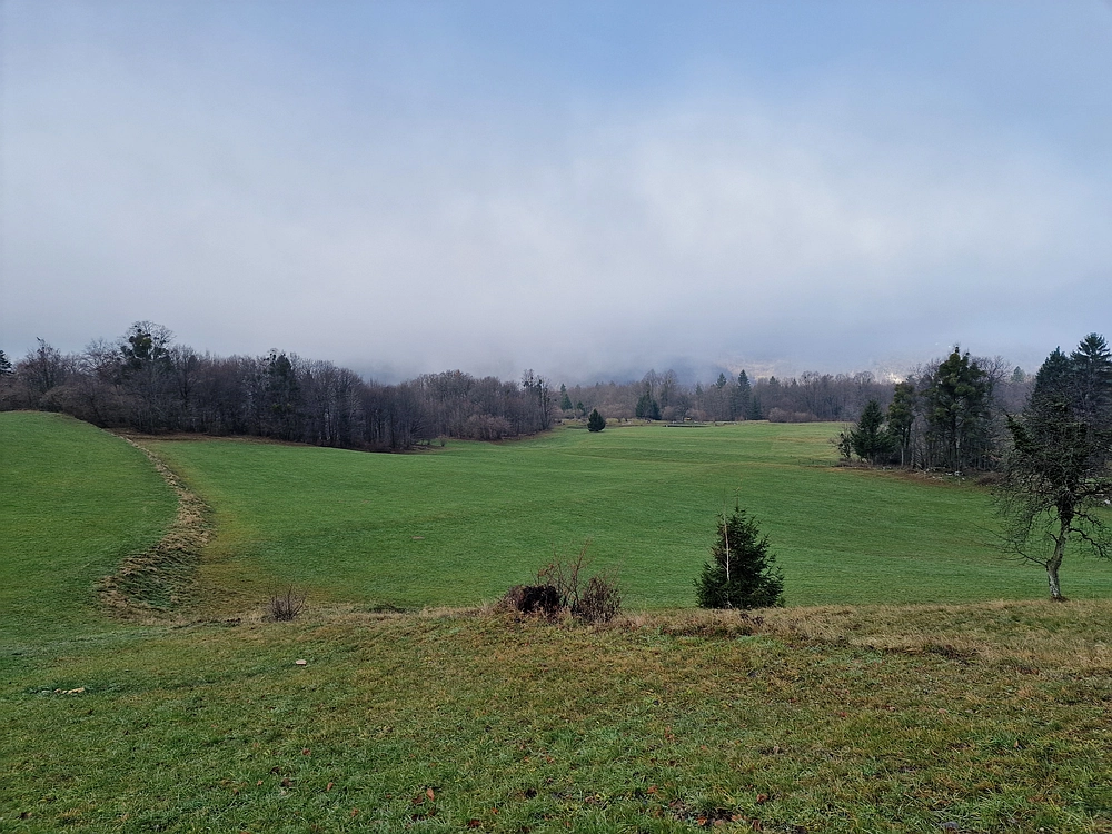 Ostrež, 7. 12. 2025