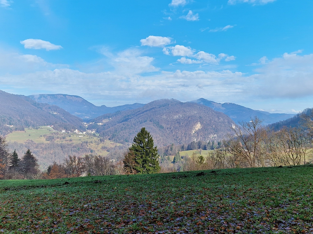 Ostrež, 7. 12. 2025