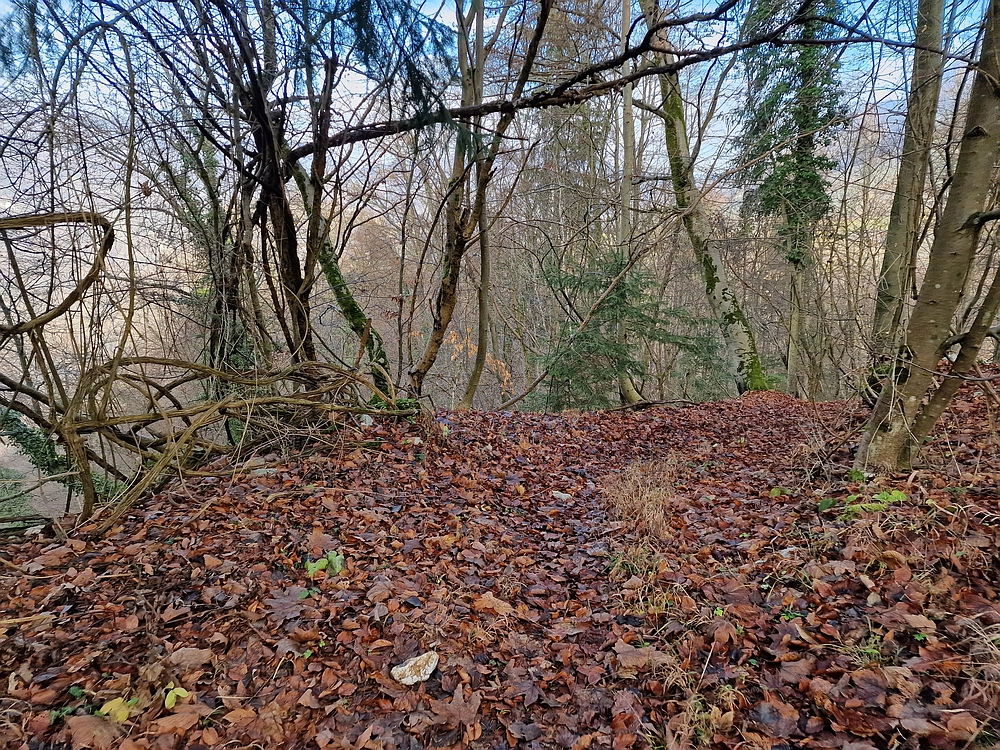 Ostrež, 7. 12. 2025