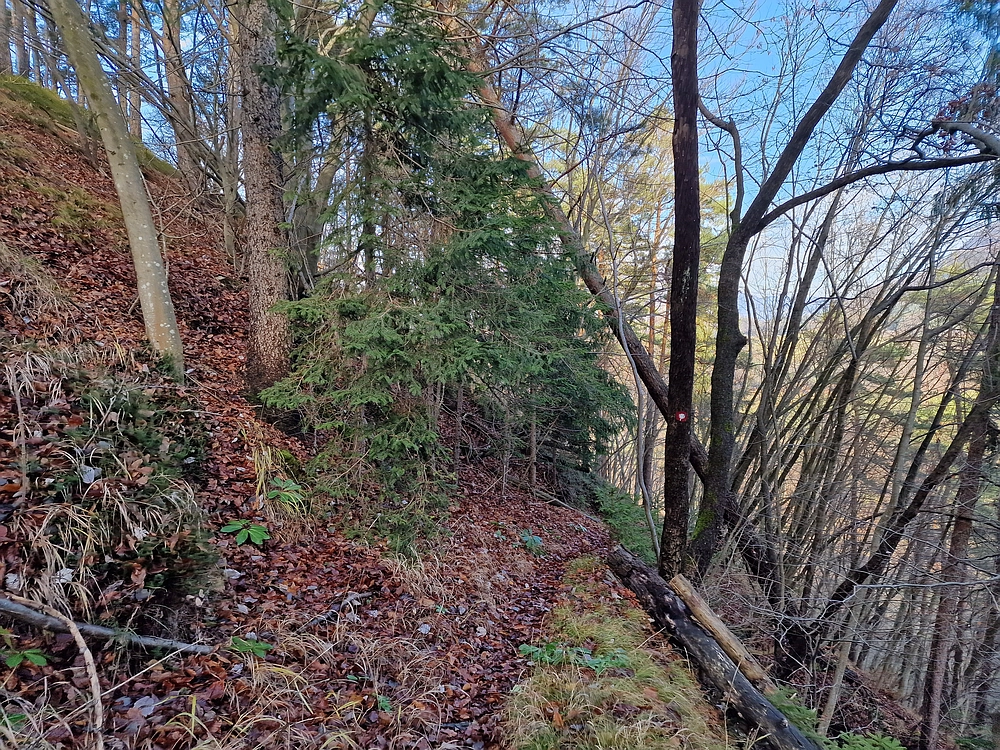 Ostrež, 7. 12. 2025