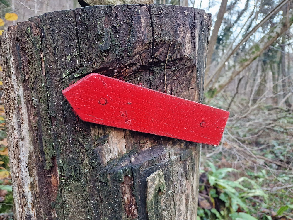 Ostrež, 7. 12. 2025