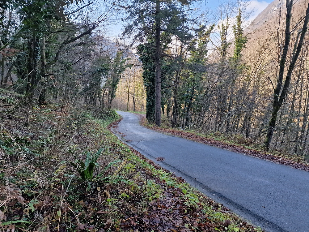 Ostrež, 7. 12. 2025