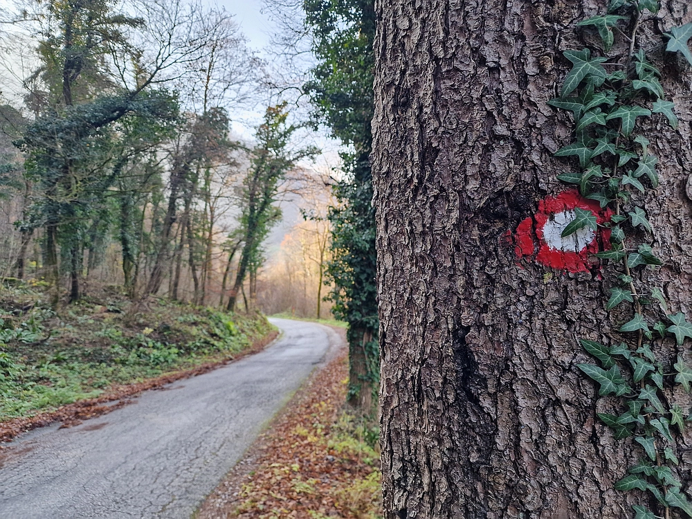 Ostrež, 7. 12. 2025