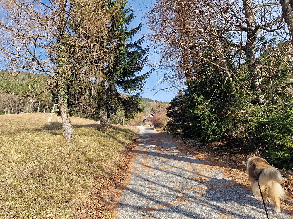 Razbor - Čemšeniška planina, 13. 12. 2025