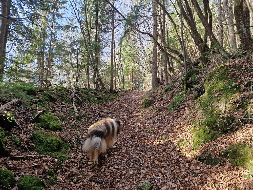 Razbor - Čemšeniška planina, 13. 12. 2025