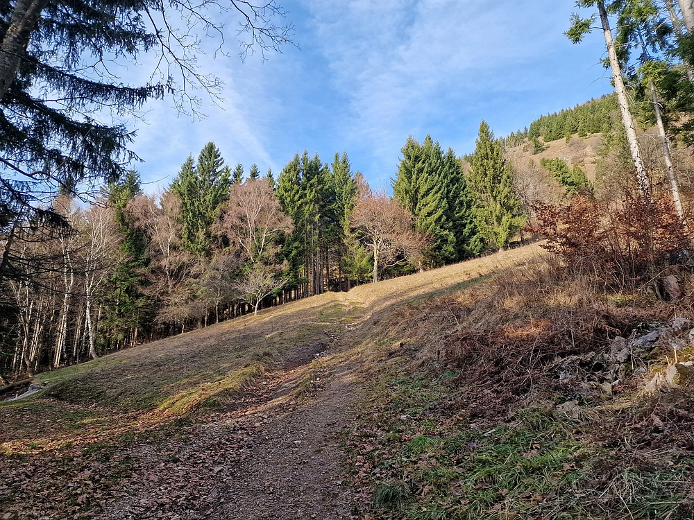Razbor - Čemšeniška planina, 13. 12. 2025