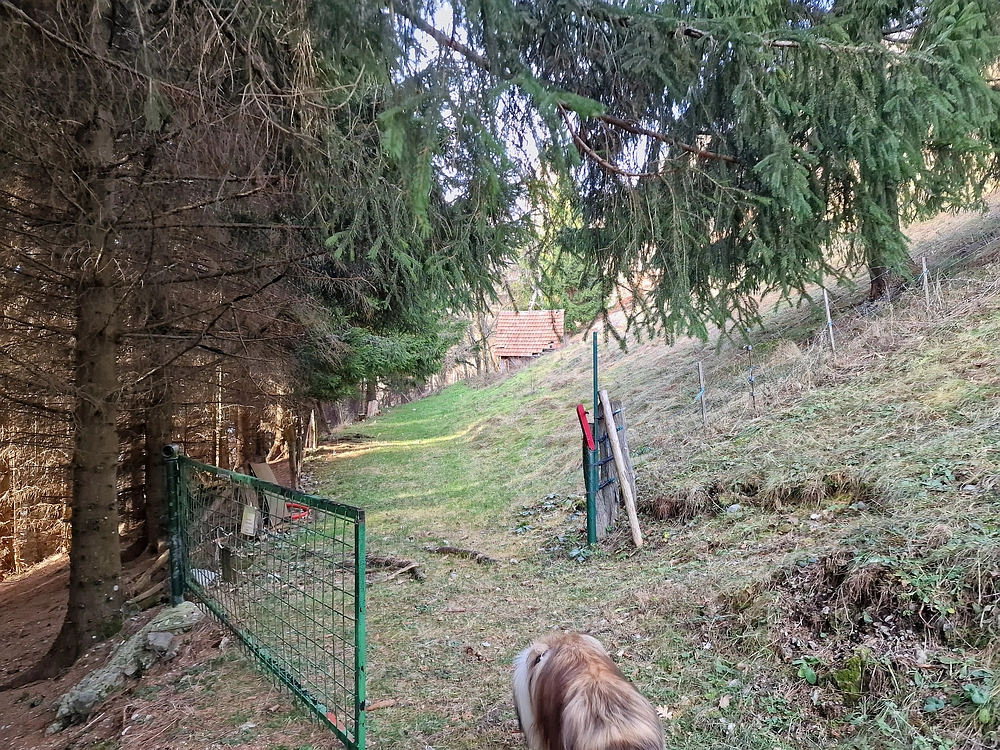 Razbor - Čemšeniška planina, 13. 12. 2025