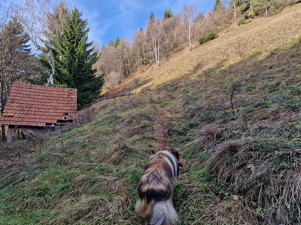 Razbor - Čemšeniška planina, 13. 12. 2025