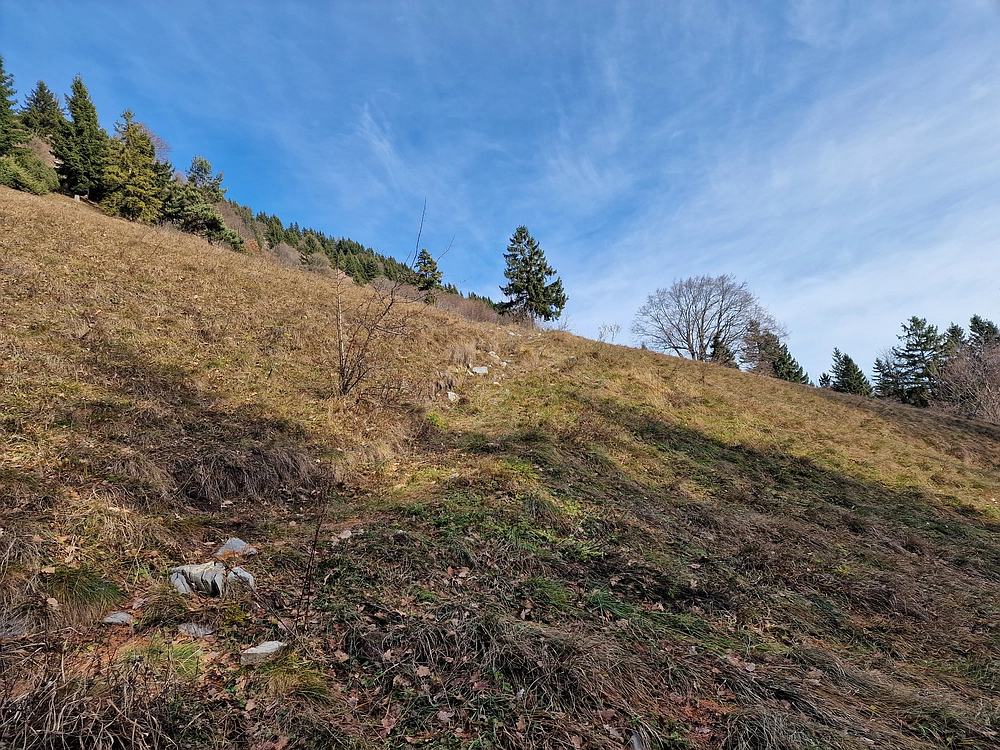 Razbor - Čemšeniška planina, 13. 12. 2025