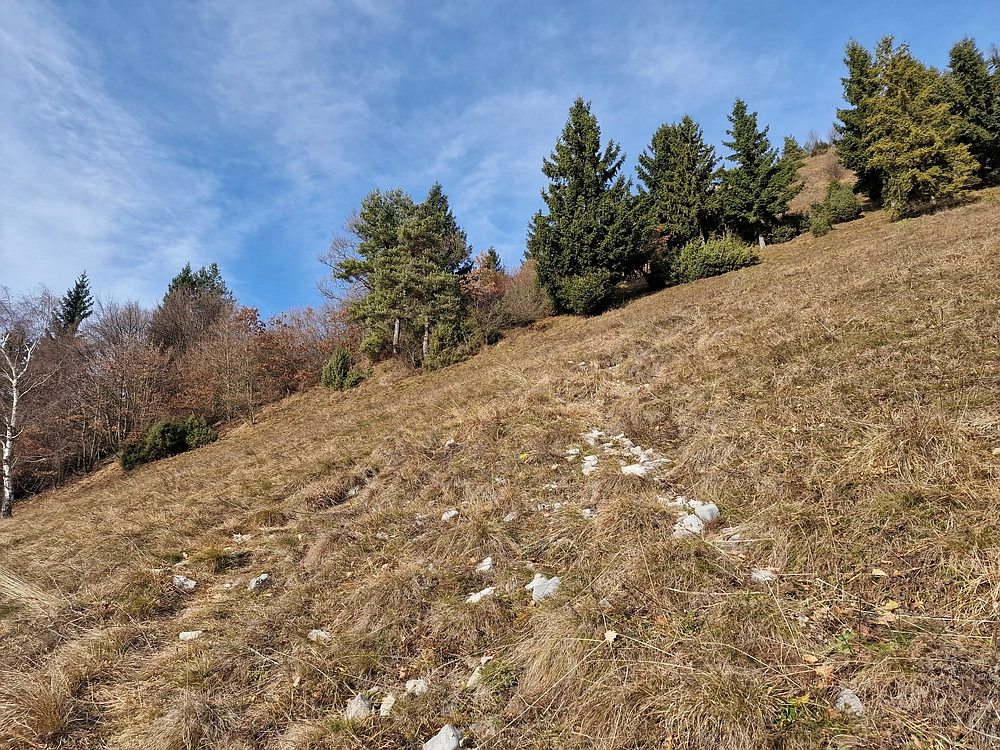 Razbor - Čemšeniška planina, 13. 12. 2025