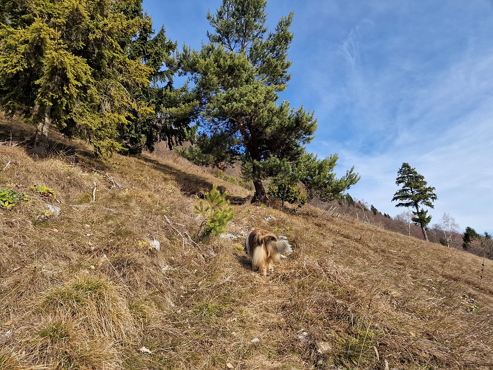 Razbor - Čemšeniška planina, 13. 12. 2025