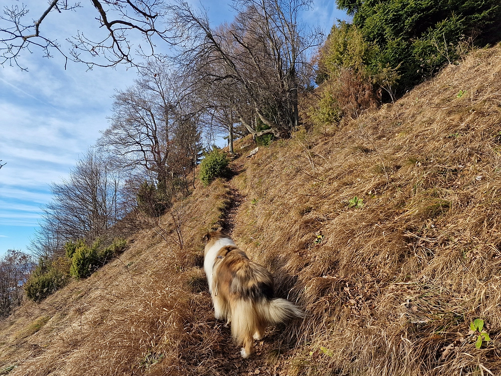 Razbor - Čemšeniška planina, 13. 12. 2025