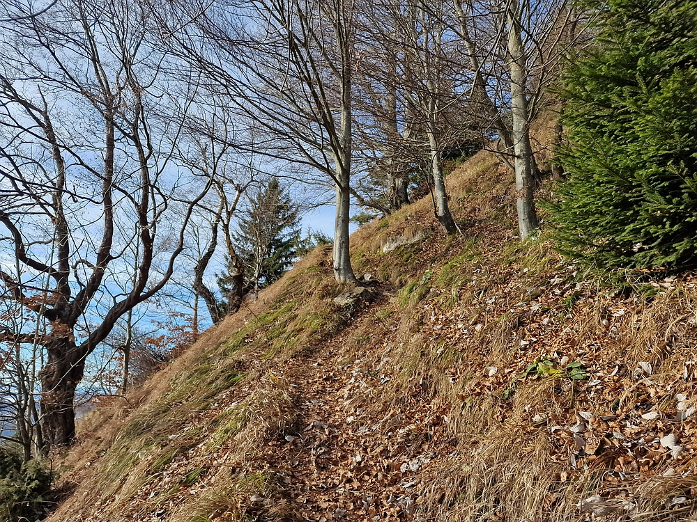 Razbor - Čemšeniška planina, 13. 12. 2025