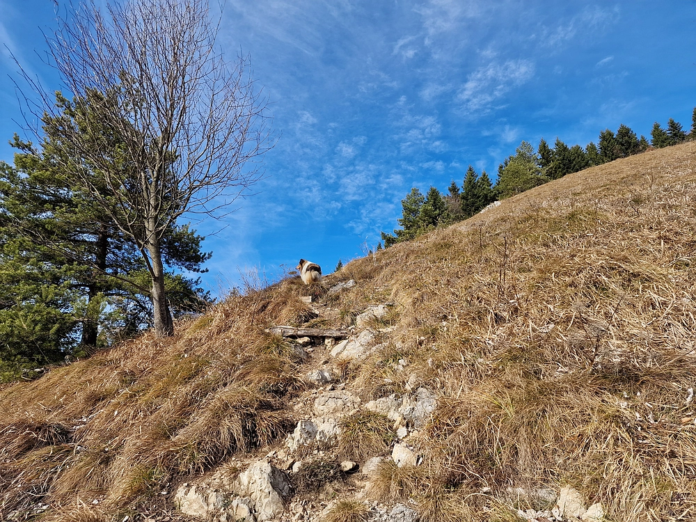 Razbor - Čemšeniška planina, 13. 12. 2025