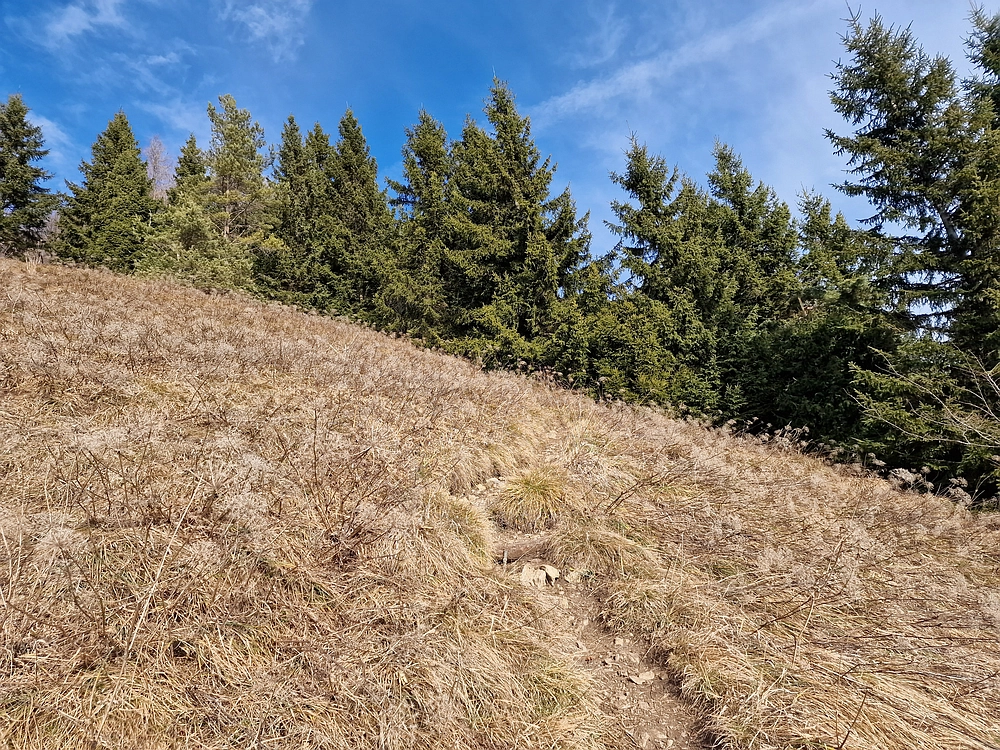 Razbor - Čemšeniška planina, 13. 12. 2025