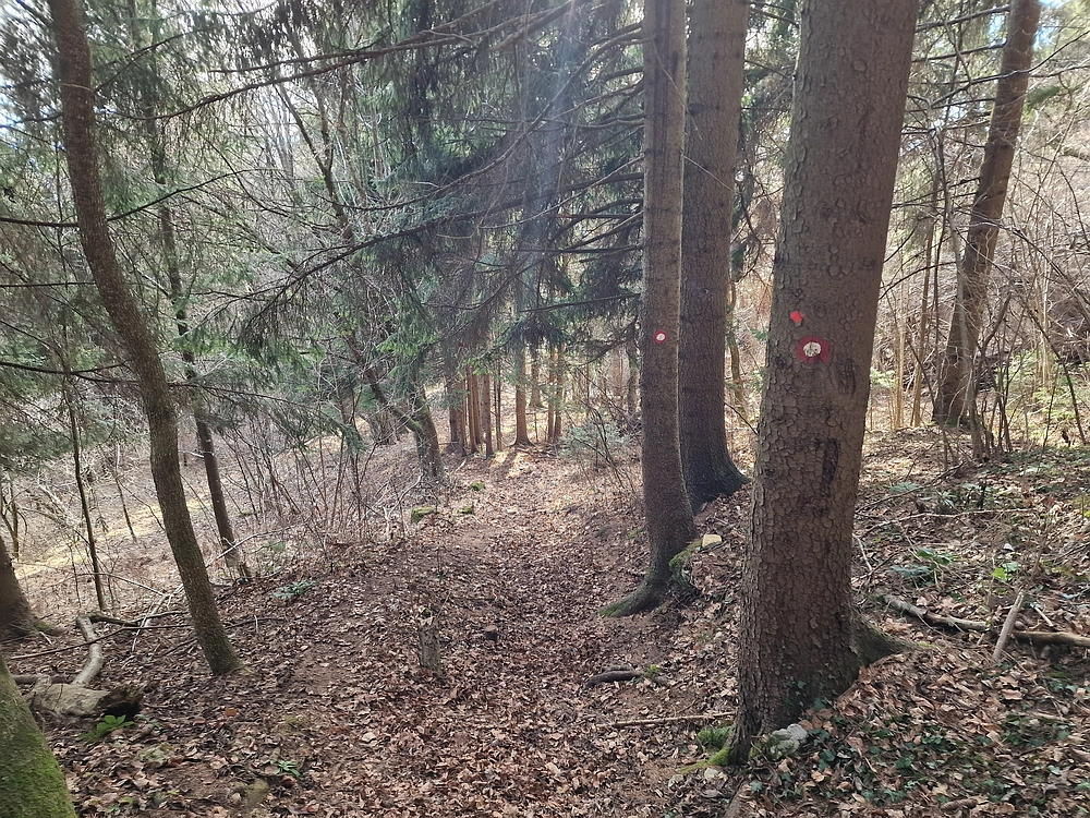 Razbor - Čemšeniška planina, 13. 12. 2025