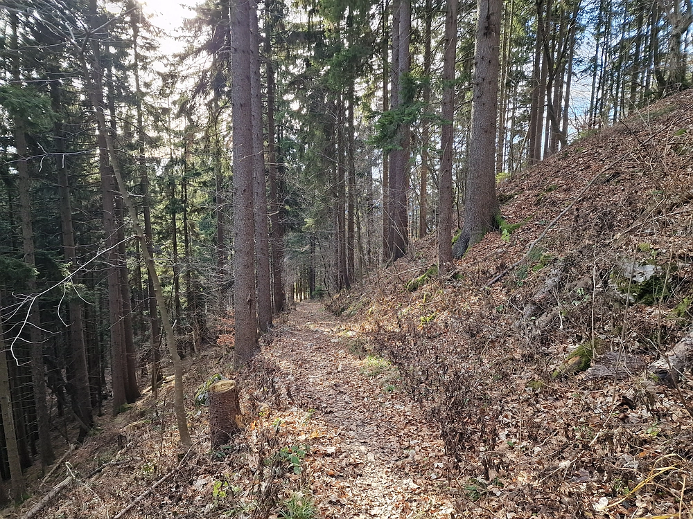 Razbor - Čemšeniška planina, 13. 12. 2025