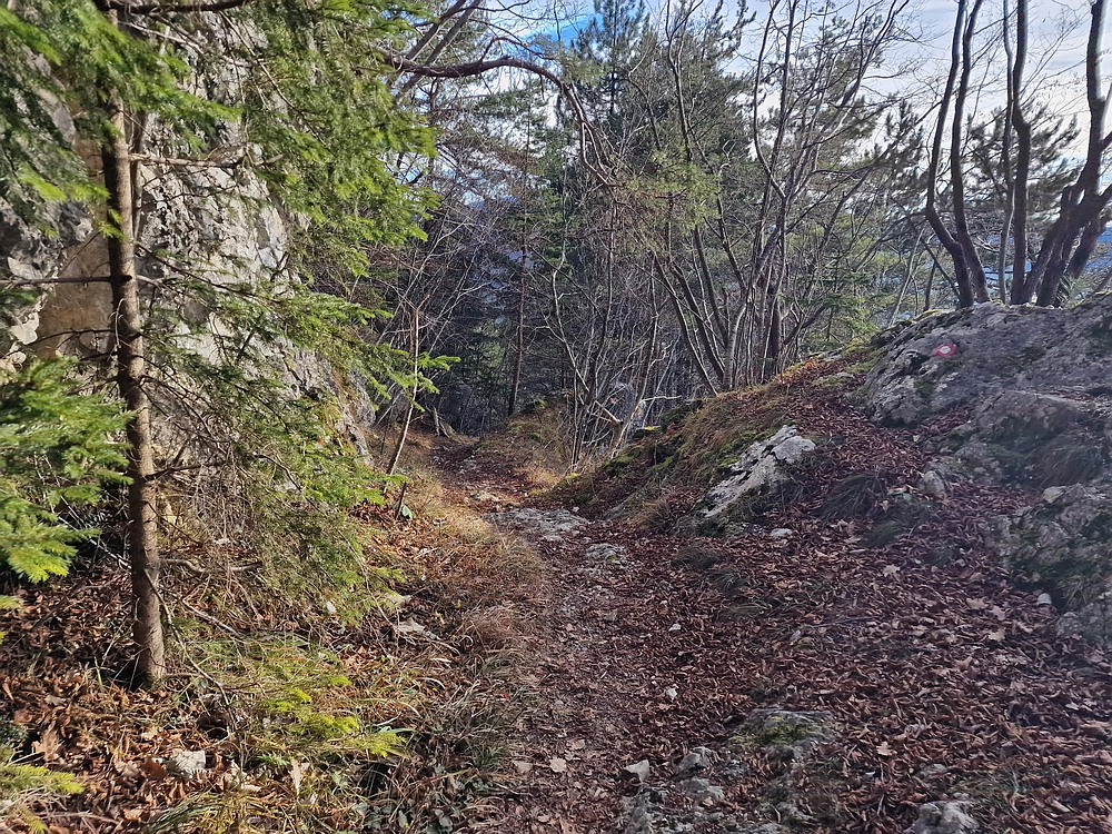 Razbor - Čemšeniška planina, 13. 12. 2025