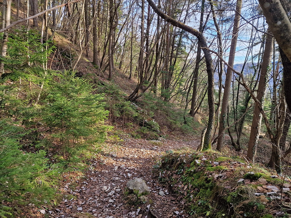 Razbor - Čemšeniška planina, 13. 12. 2025