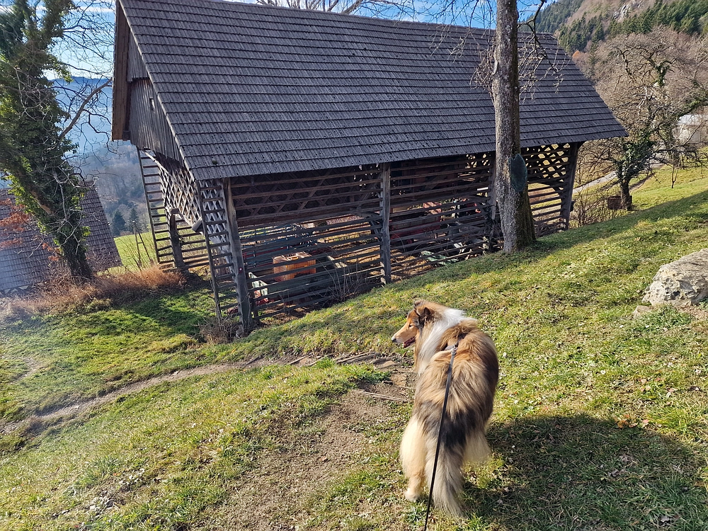 Razbor - Čemšeniška planina, 13. 12. 2025