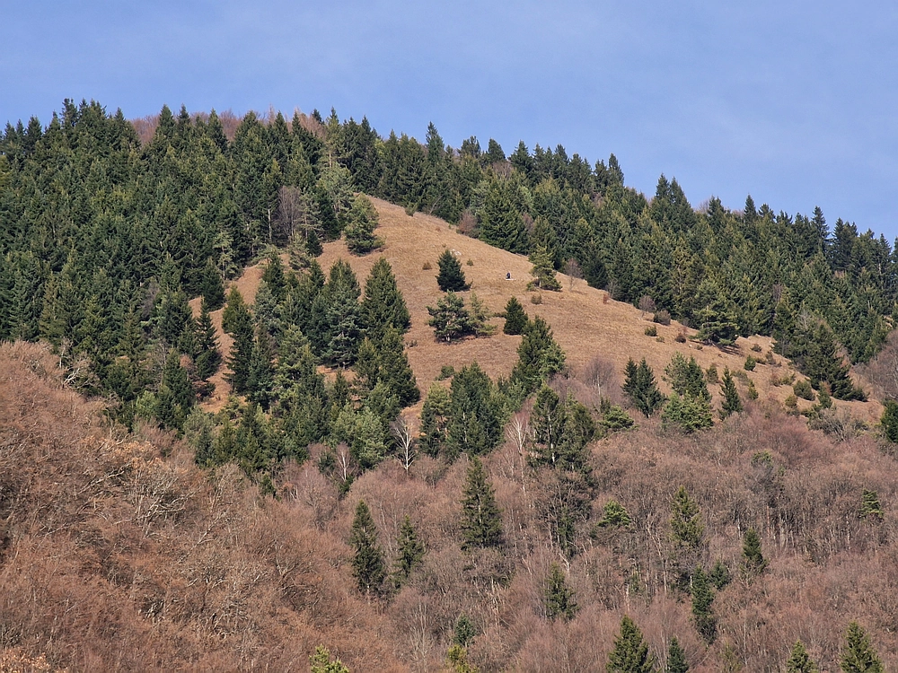 Razbor - Čemšeniška planina, 13. 12. 2025