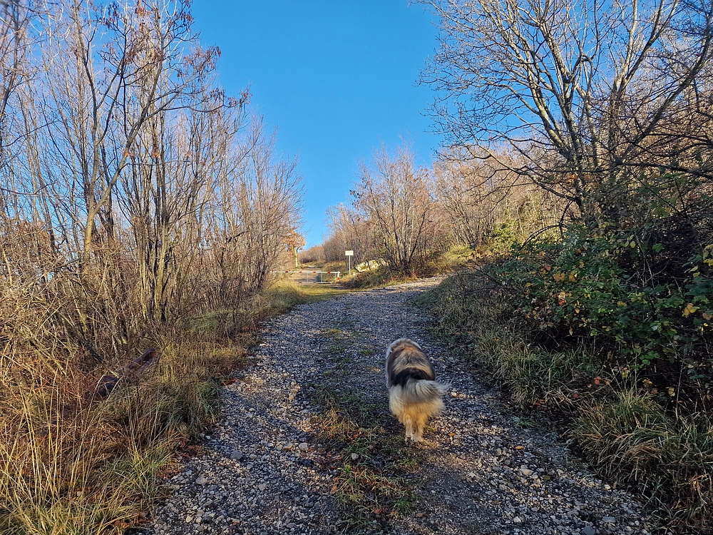 Slavnik, 20. 12. 2025