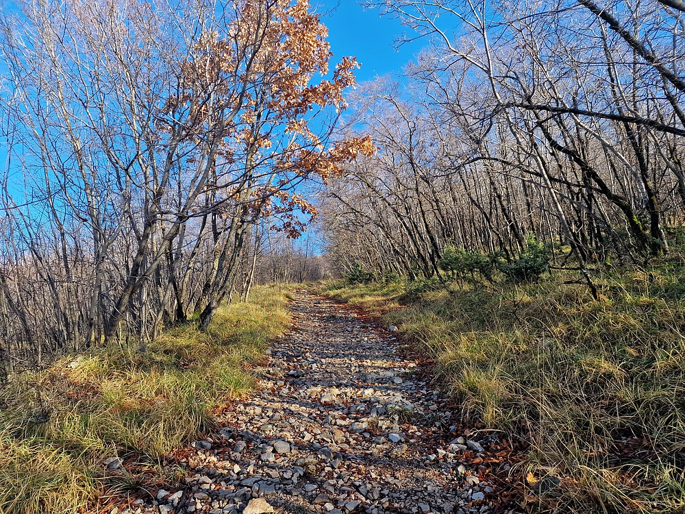 Slavnik, 20. 12. 2025